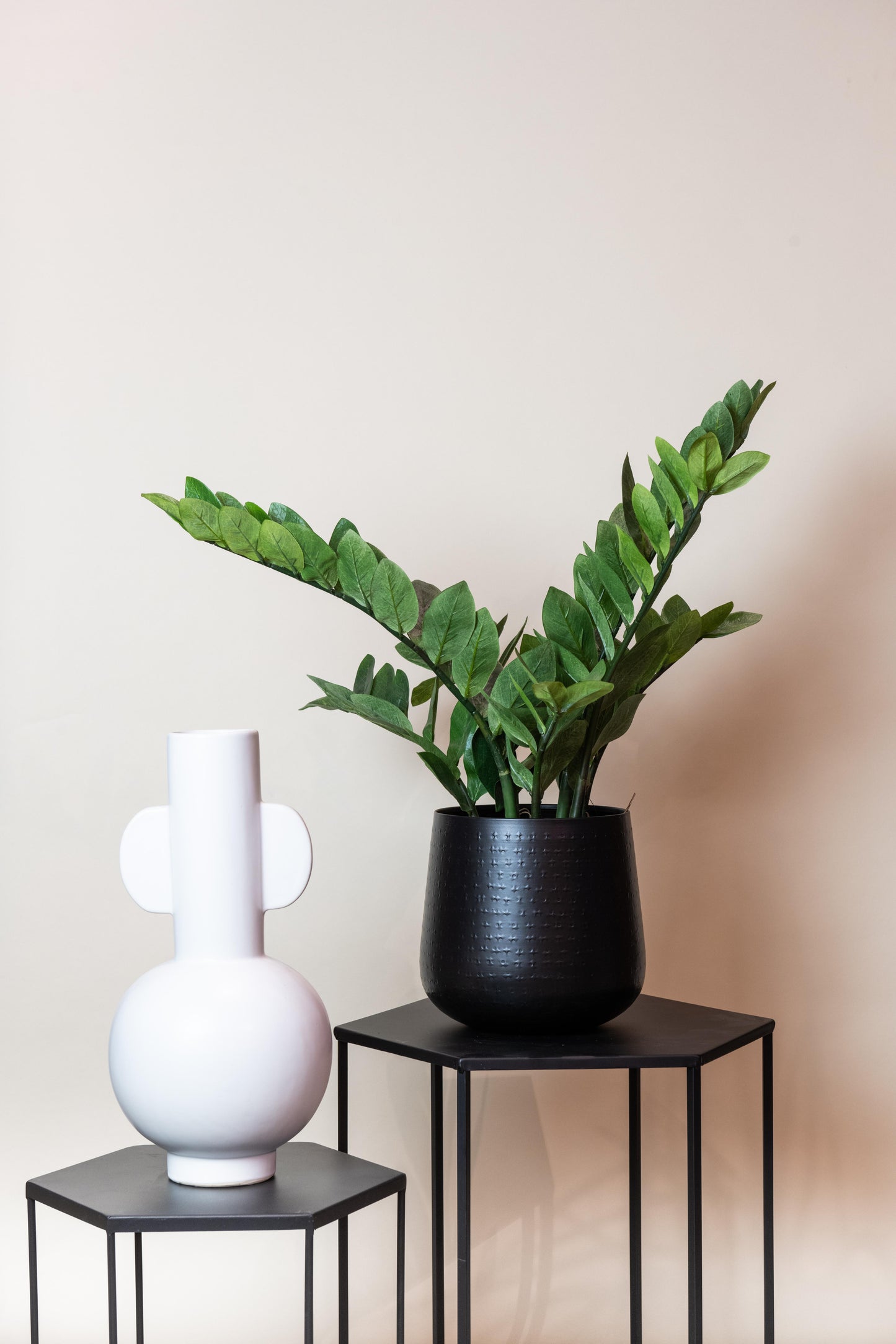 Kunstplant - Zamioculcas - Kamerpalm - 110 cm - Forest Plants