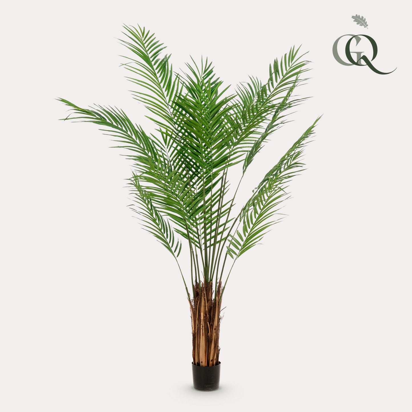 Kunstplant - Areca Lutescens - Goudpalm - 180 cm - Forest Plants