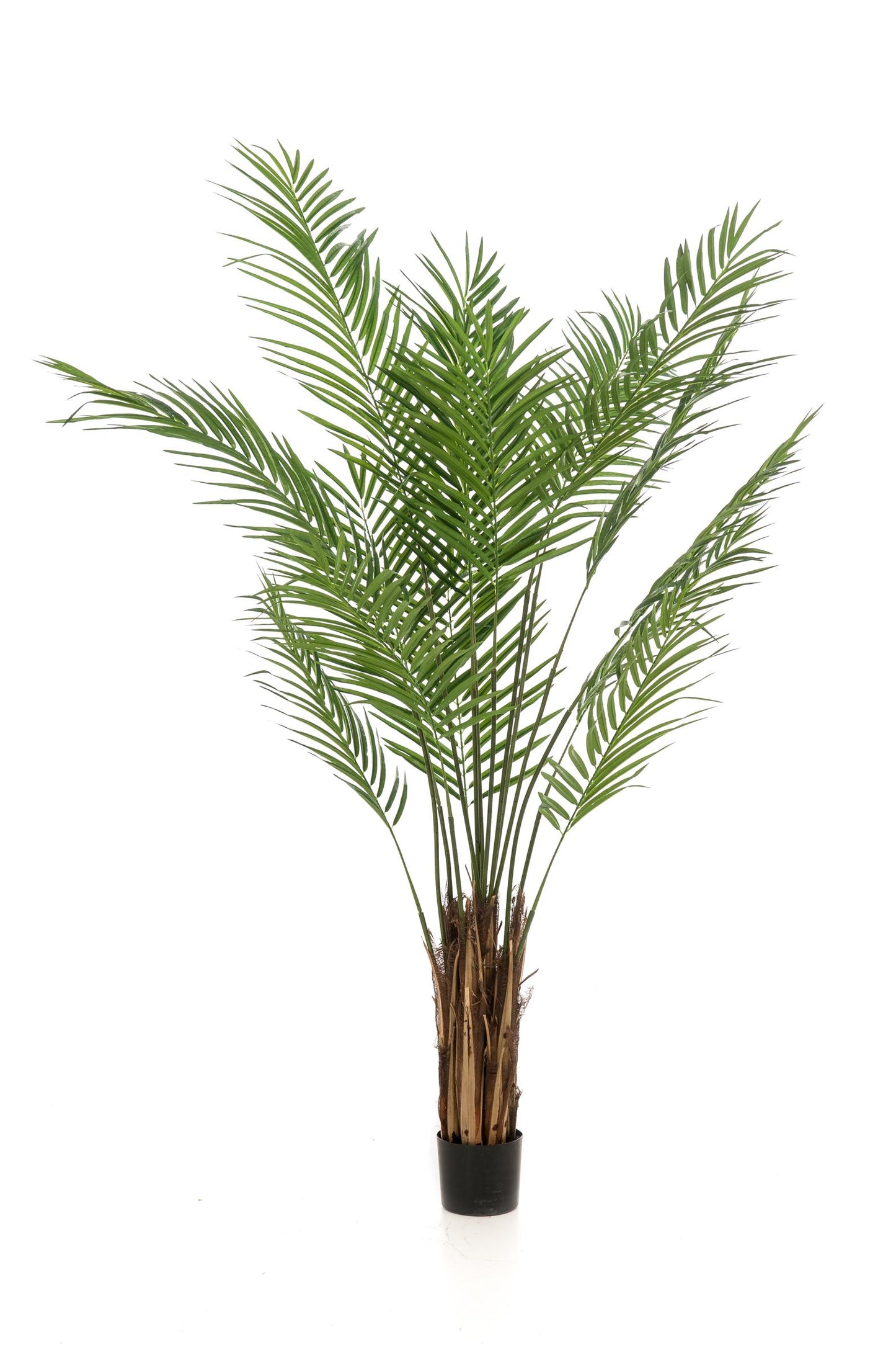 Kunstplant - Areca Lutescens - Goudpalm - 180 cm - Forest Plants