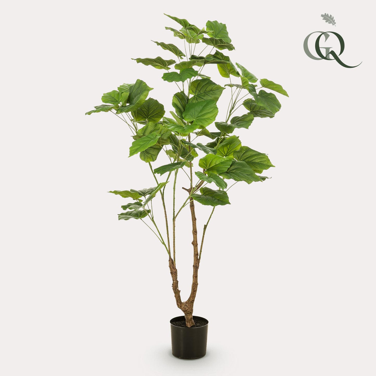 Kunstplant - Ficus umbellate - Afrikaanse vijg - 125 cm - Forest Plants