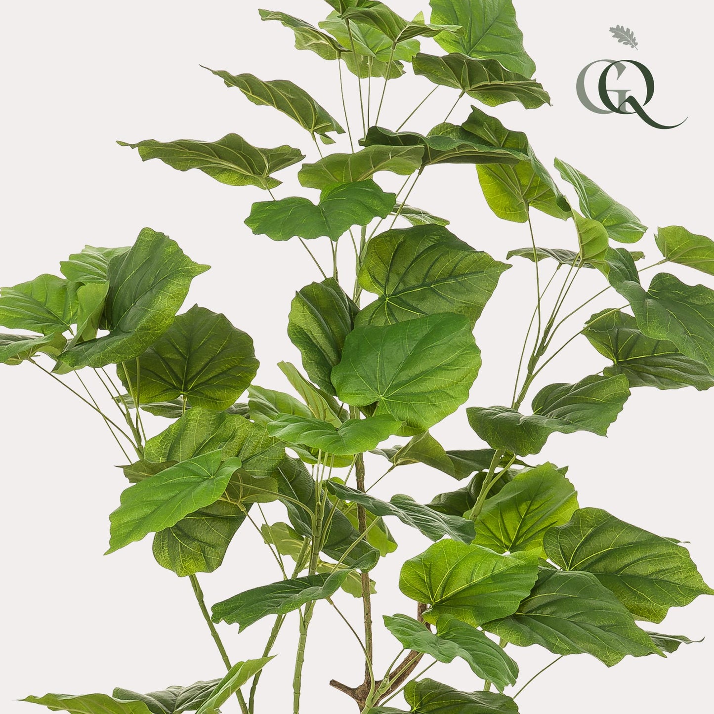 Kunstplant - Ficus umbellate - Afrikaanse vijg - 125 cm - Forest Plants