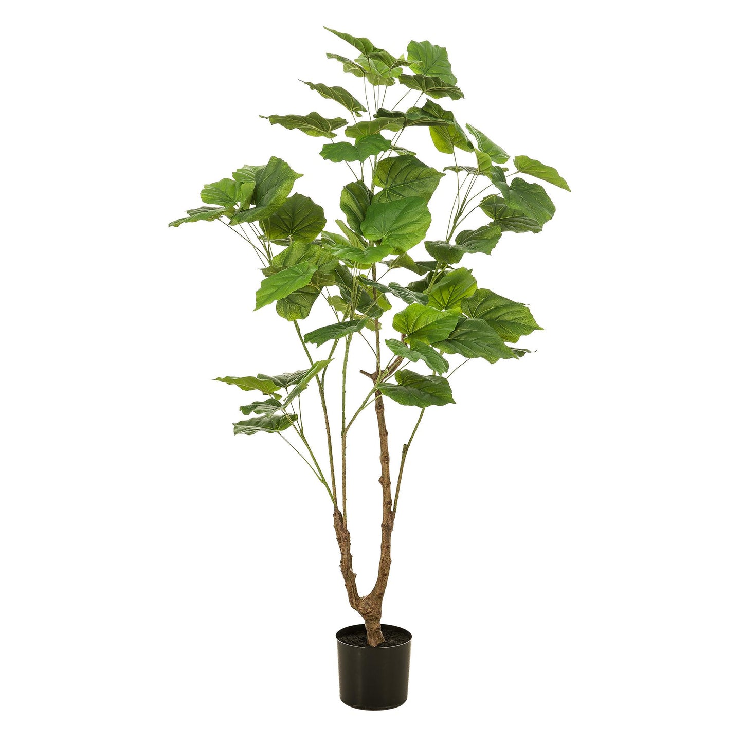 Kunstplant - Ficus umbellate - Afrikaanse vijg - 125 cm - Forest Plants