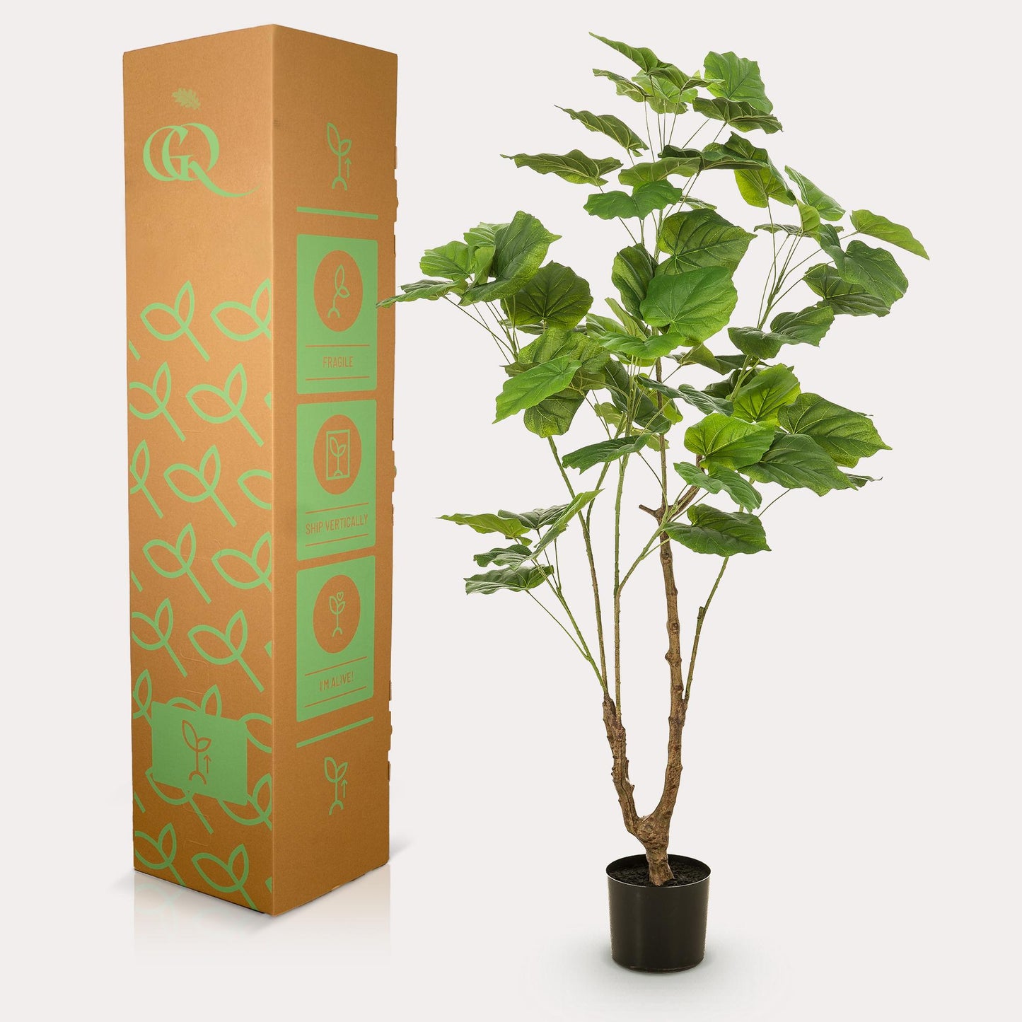 Kunstplant - Ficus umbellate - Afrikaanse vijg - 125 cm - Forest Plants