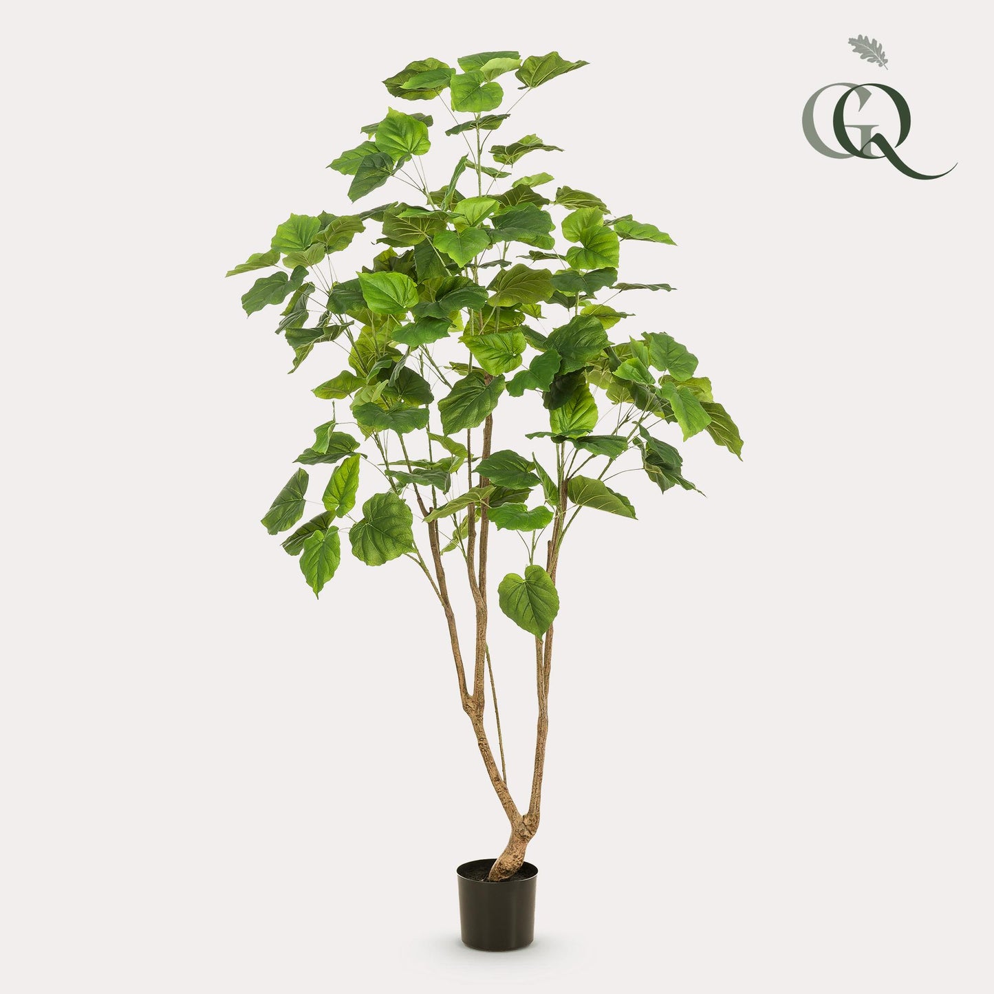 Kunstplant - Ficus umbellate - Afrikaanse vijg - 180 cm - Forest Plants