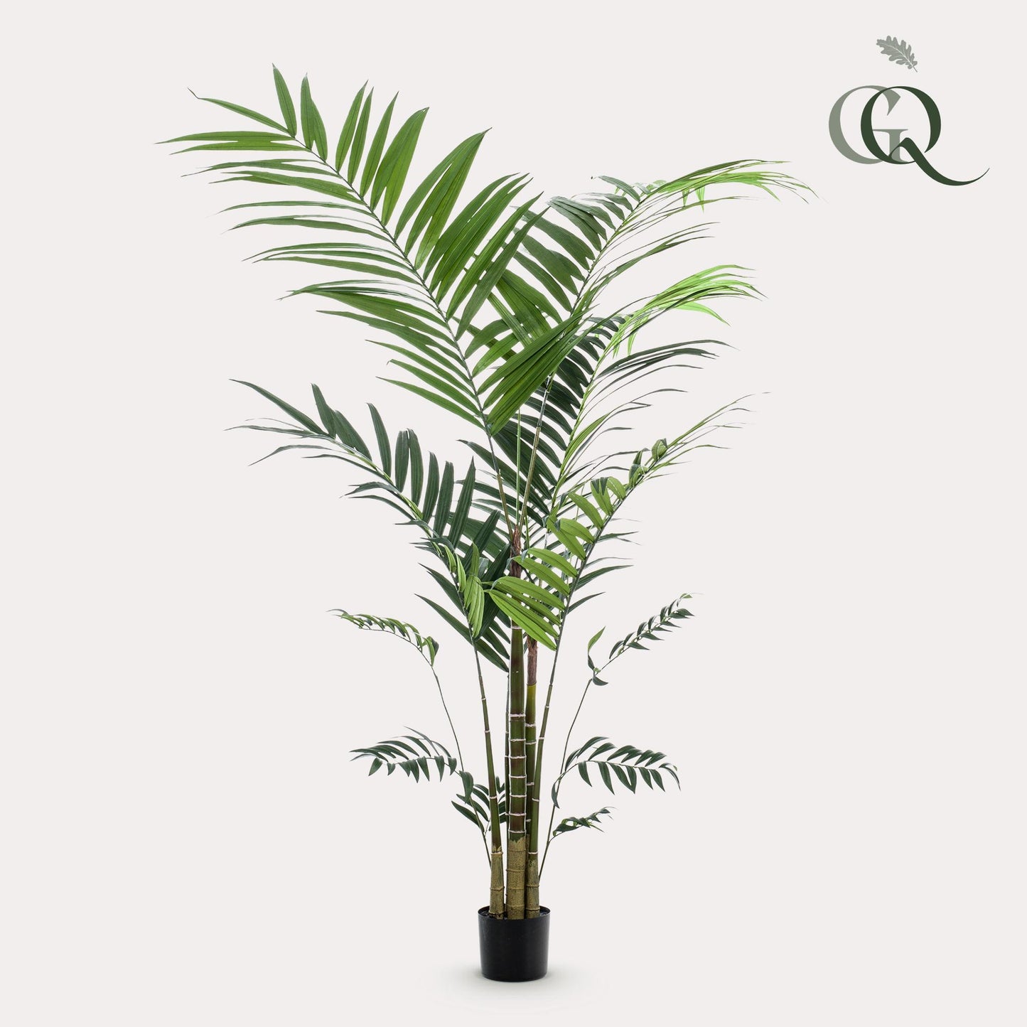 Kunstplant - Kentiapalm - 210 cm - Forest Plants