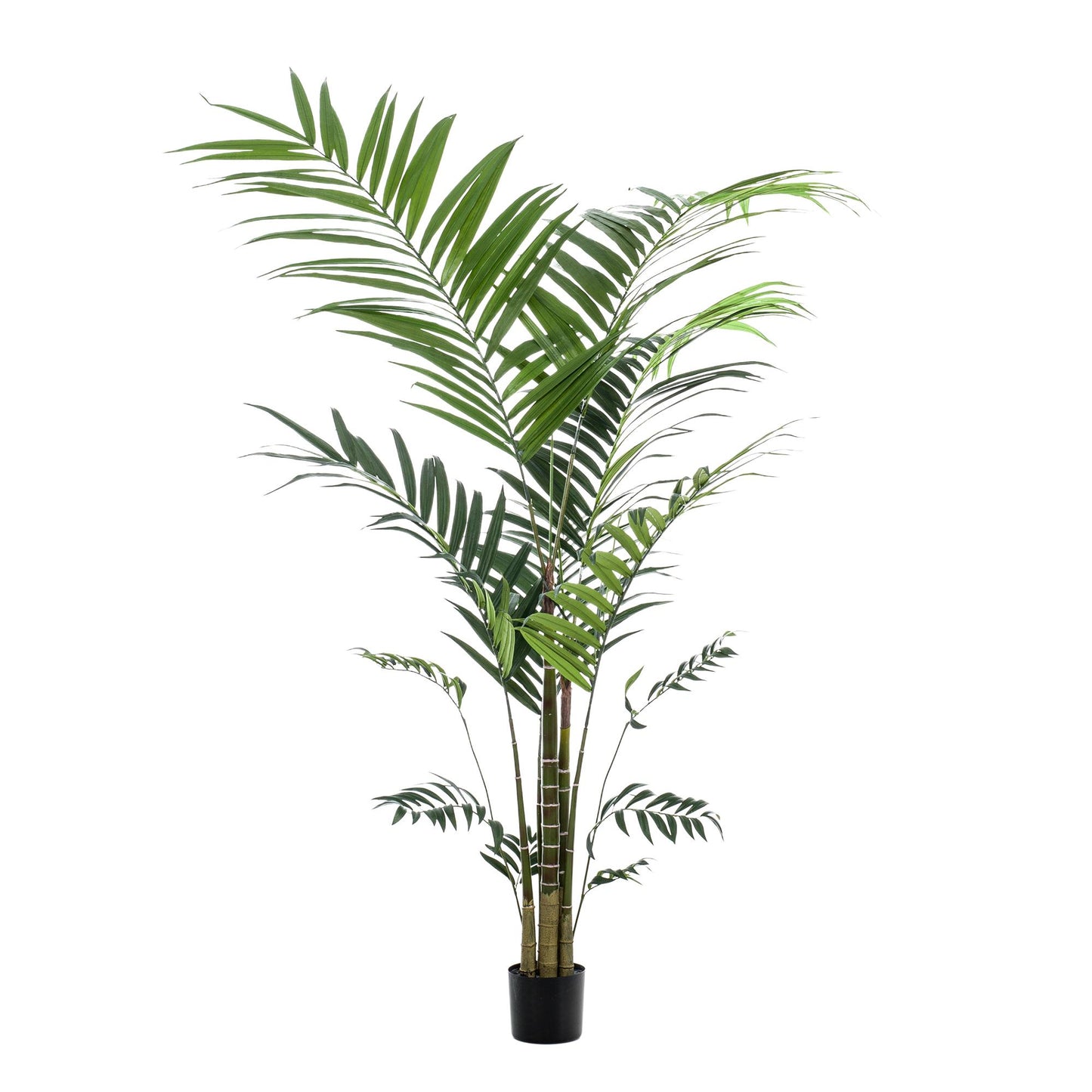 Kunstplant - Kentiapalm - 210 cm - Forest Plants