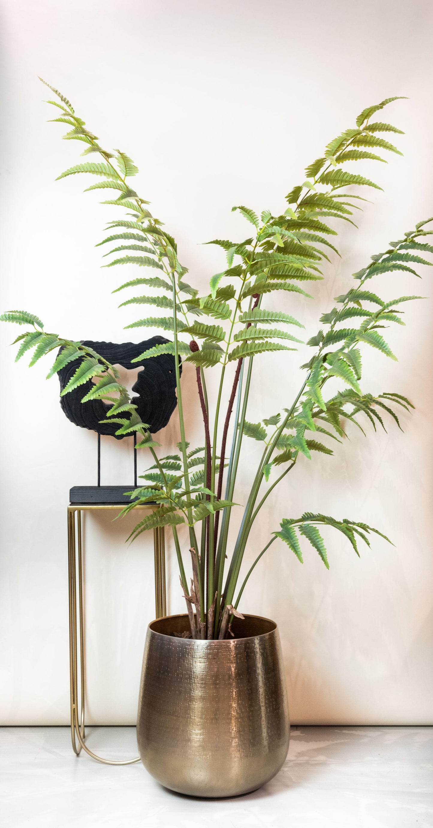 Kunstplant - Rumohra Adiantiformis - Ledervaren - 180 cm - Forest Plants