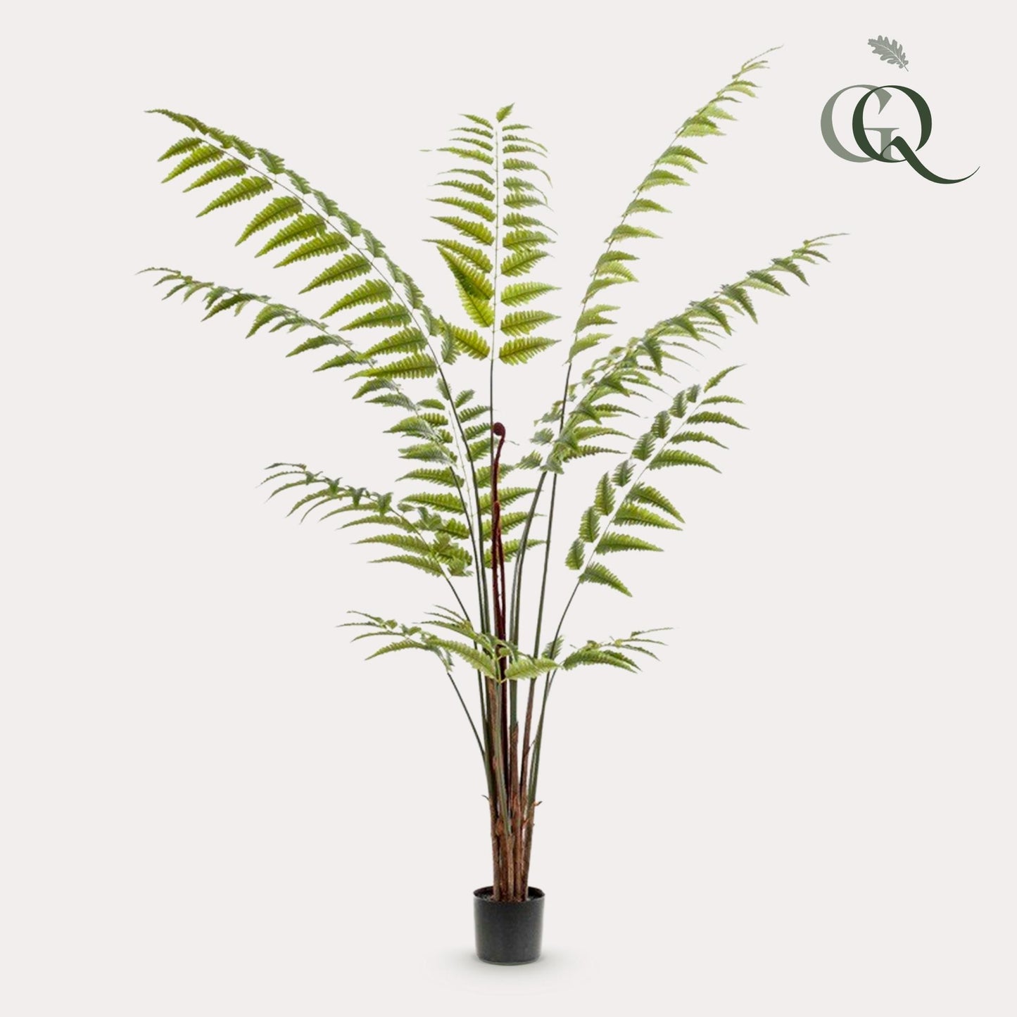 Kunstplant - Rumohra Adiantiformis - Ledervaren - 180 cm - Forest Plants