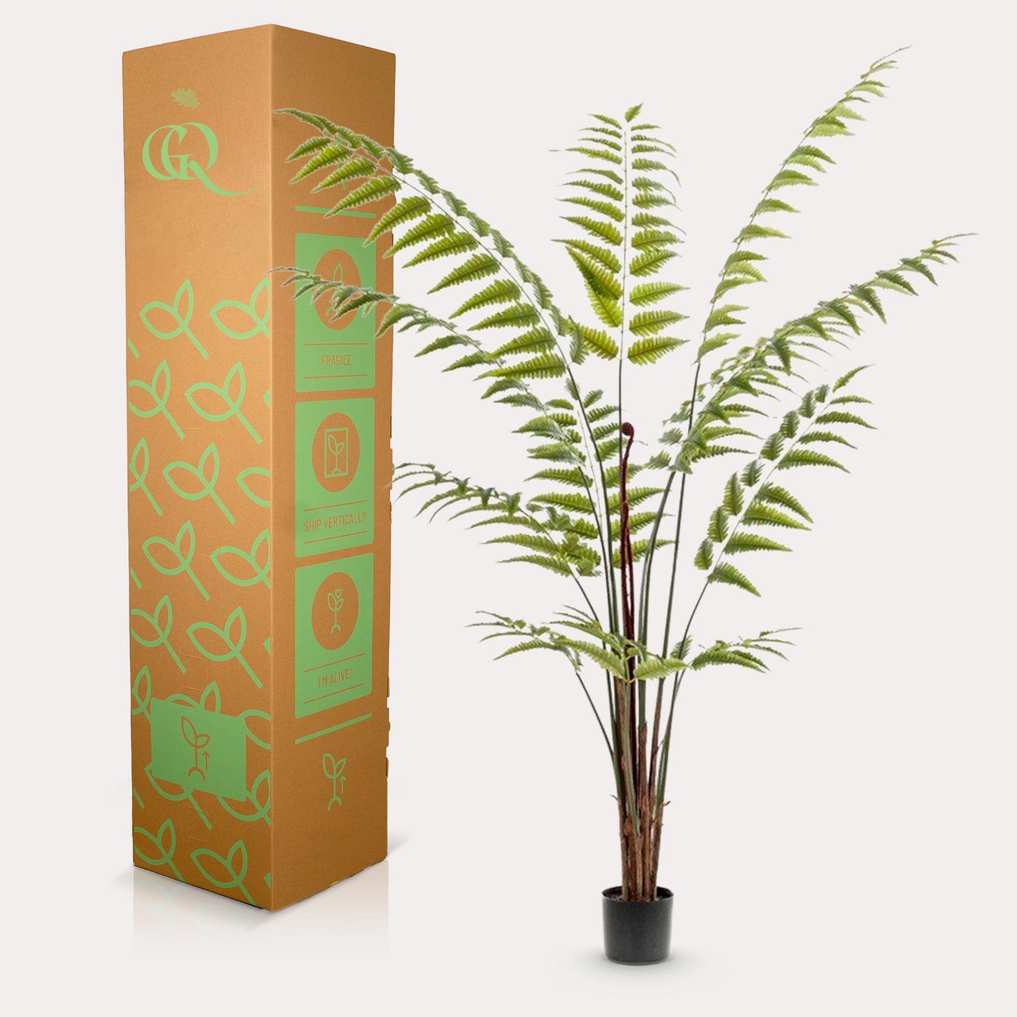 Kunstplant - Rumohra Adiantiformis - Ledervaren - 180 cm - Forest Plants