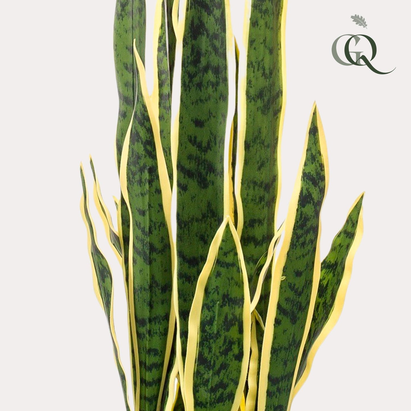 Kunstplant - Sanseveria Trifasciata - Vrouwentong - 97 cm - Forest Plants