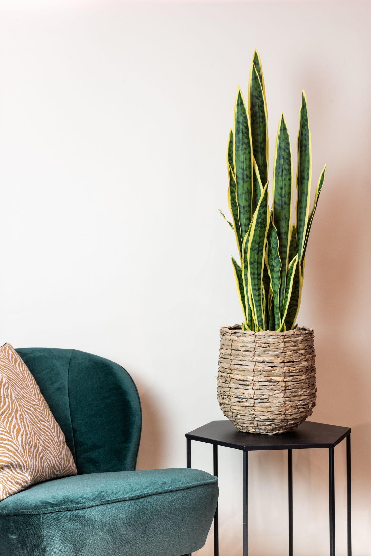 Kunstplant - Sanseveria Trifasciata - Vrouwentong - 97 cm - Forest Plants