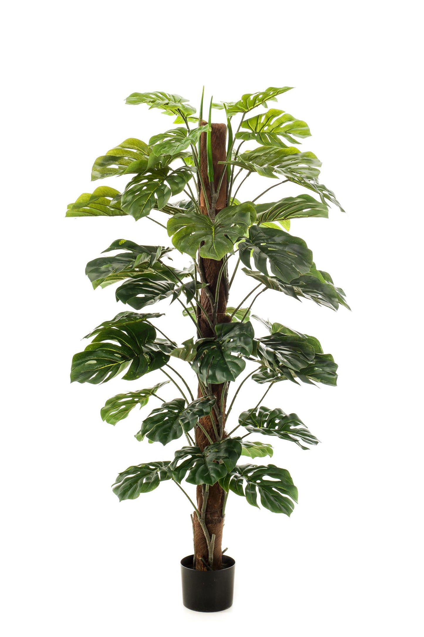 Kunstplant - Monstera Deliciosa - 150 cm - Forest Plants