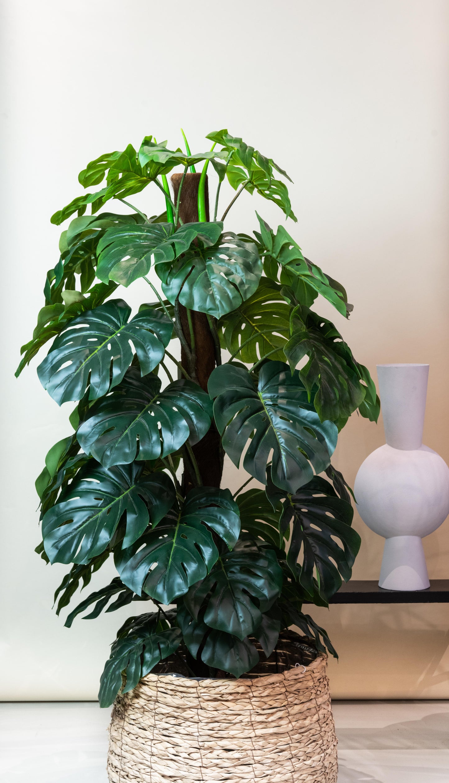 Kunstplant - Monstera Deliciosa - 150 cm - Forest Plants