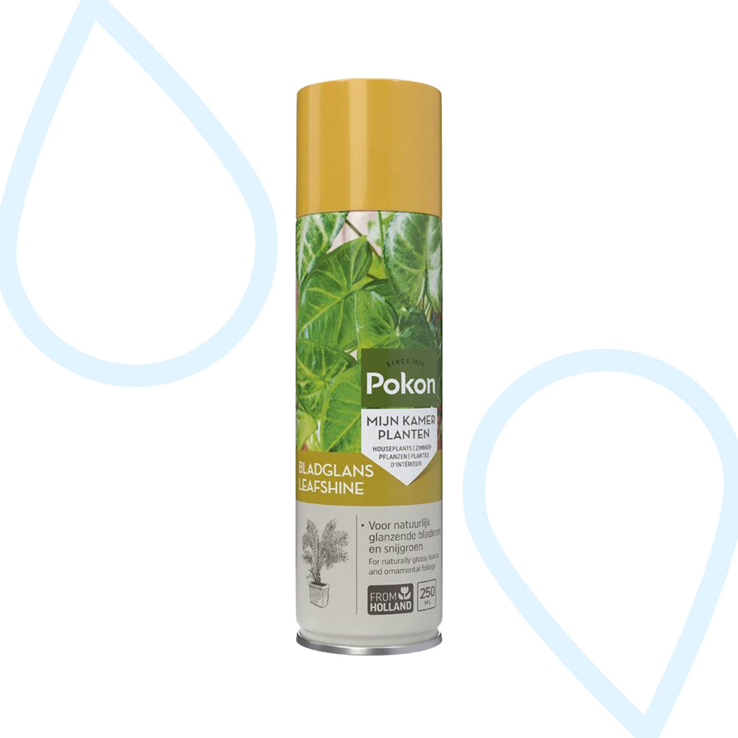 Pokon Bladglans 250 ml