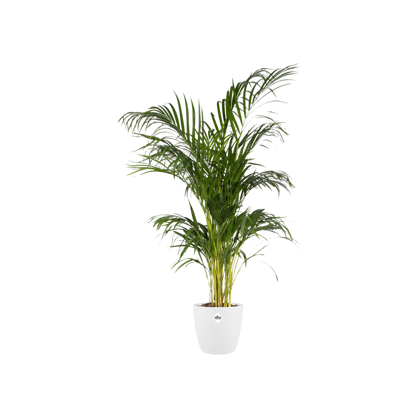 Pot elho Brussels Round White D30 x H27
