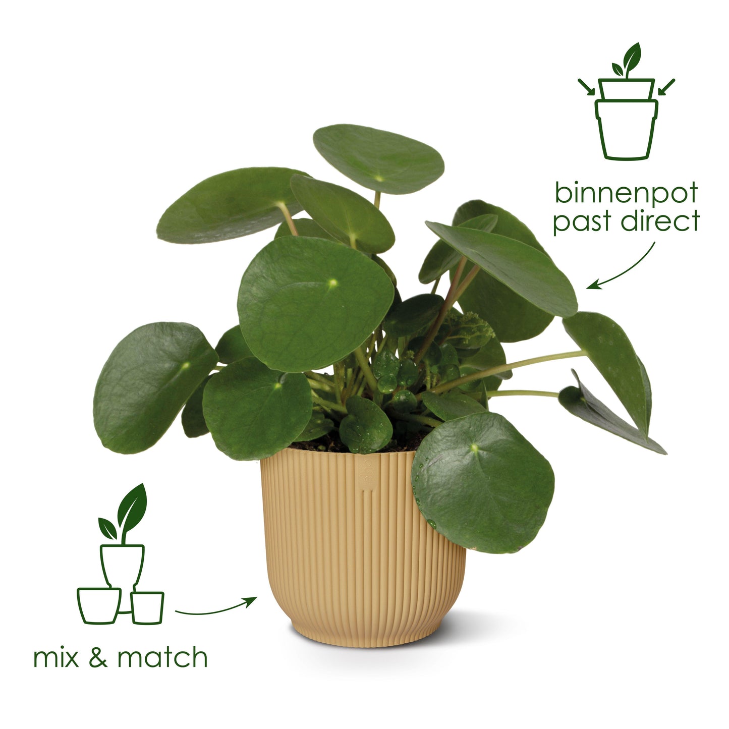 Pot elho Vibes Fold Round white - D22 x H20