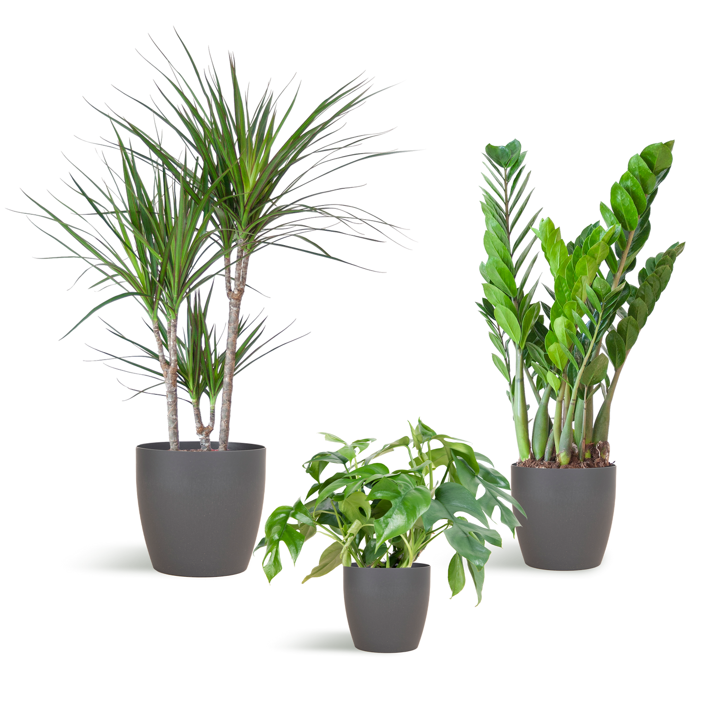 Schaduw Plantenbox - medium - met vibers pot grijs