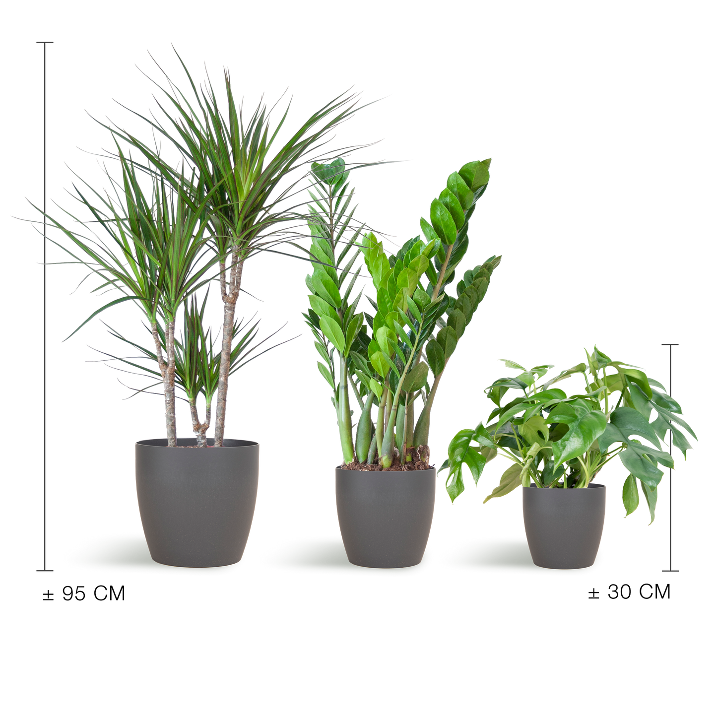Schaduw Plantenbox - medium - met vibers pot grijs