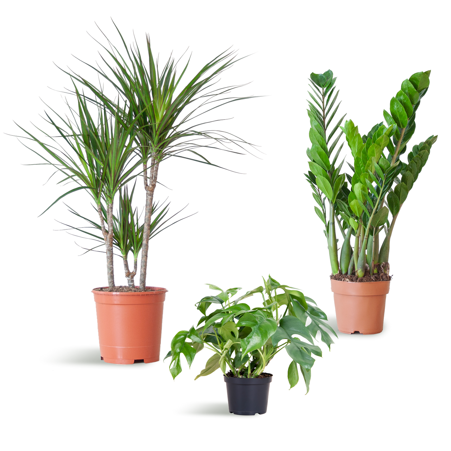 Schaduw Plantenbox - medium - zonder sierpot