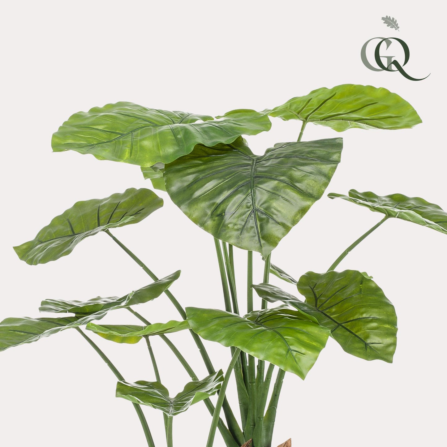 Kunstplant - Alocasia - Olifantsoor - 110 cm - Forest Plants