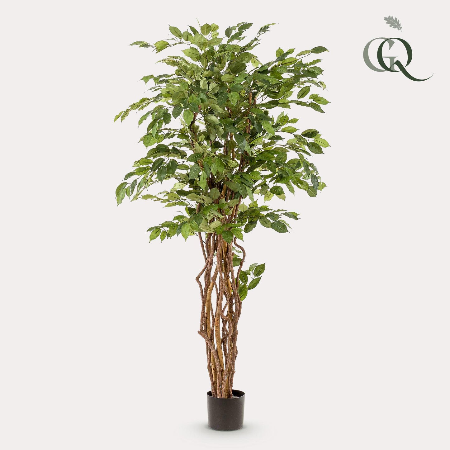 Kunstplant - Ficus liana - Vioolbladplant - 170 cm - Forest Plants