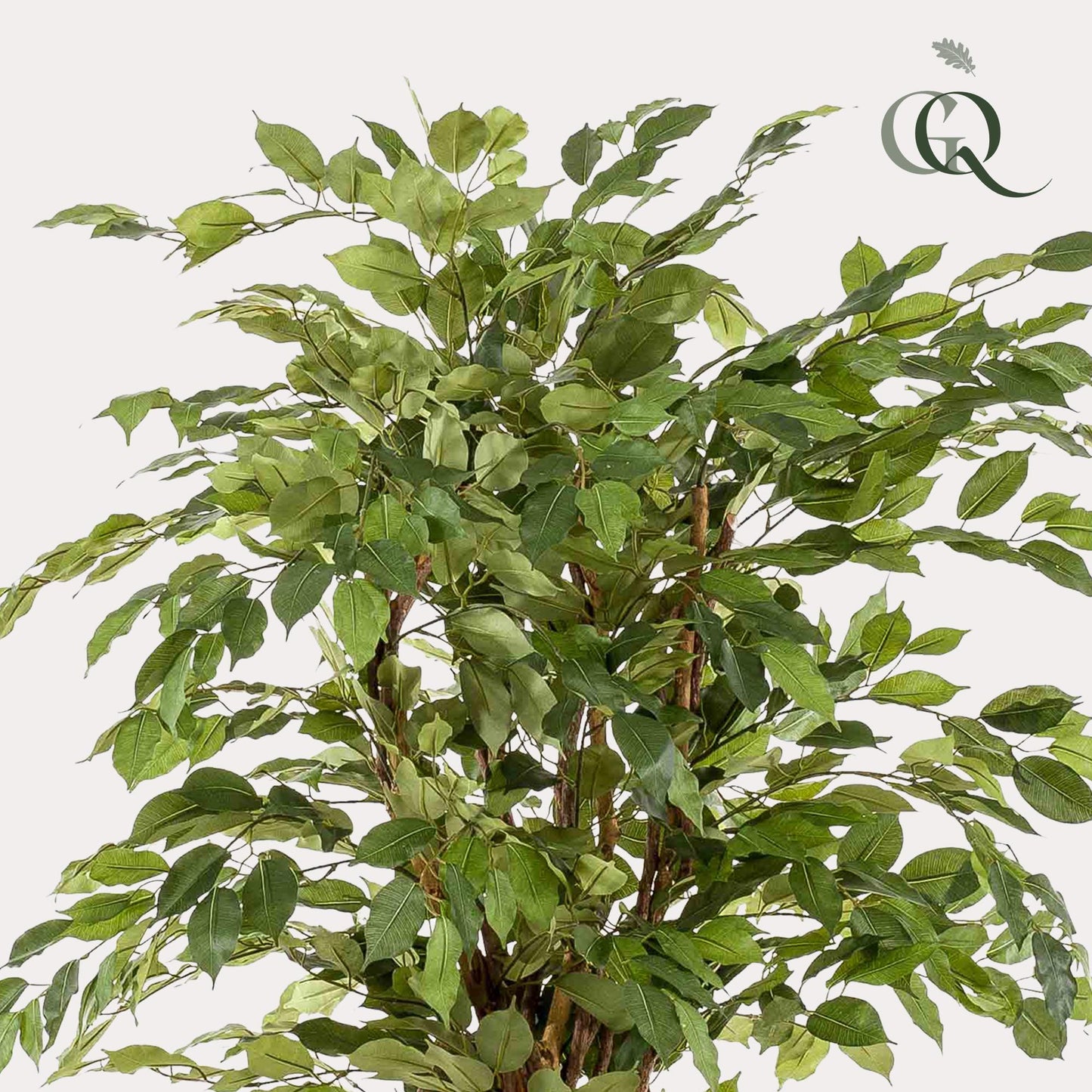 Kunstplant - Ficus liana - Vioolbladplant - 170 cm - Forest Plants