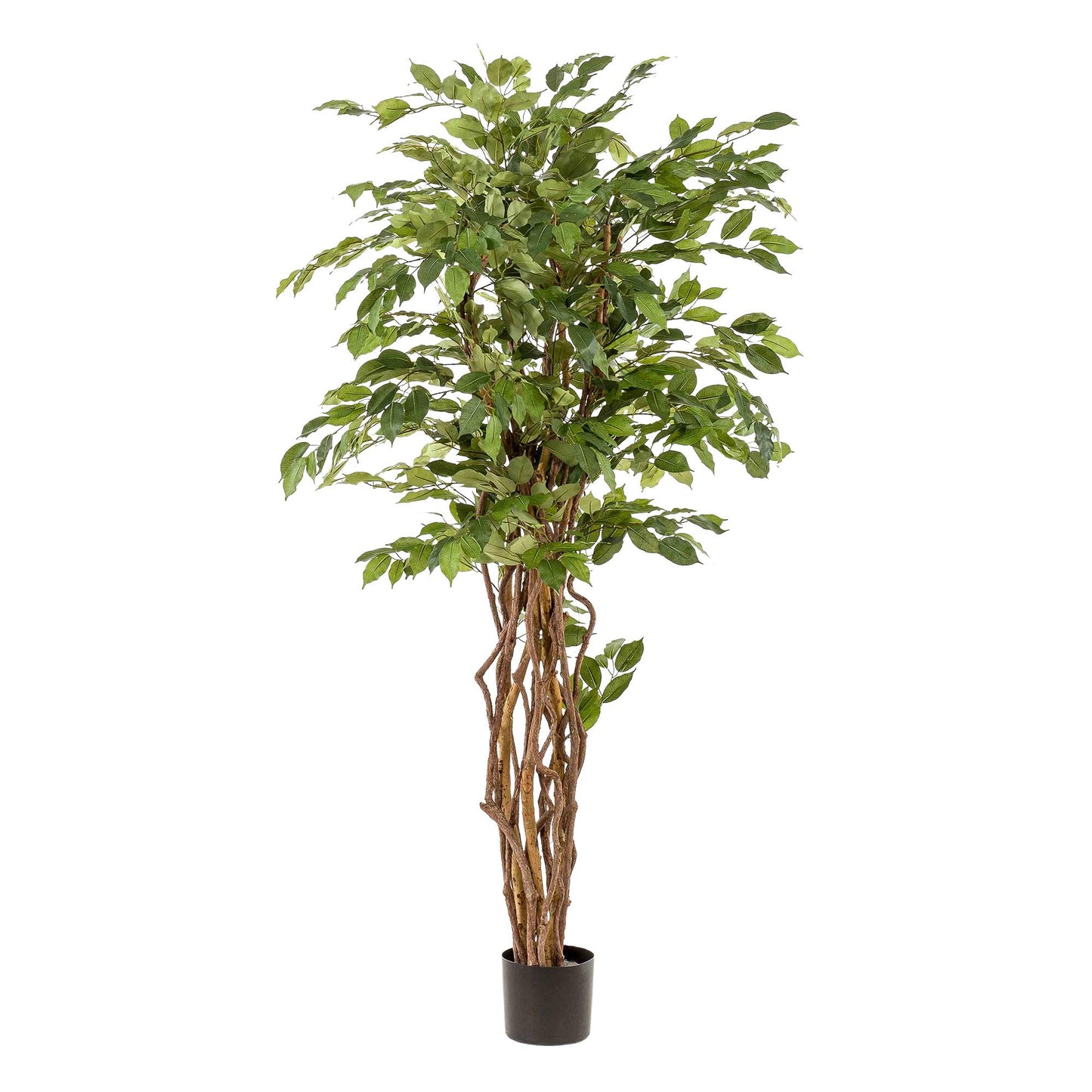 Kunstplant - Ficus liana - Vioolbladplant - 170 cm - Forest Plants