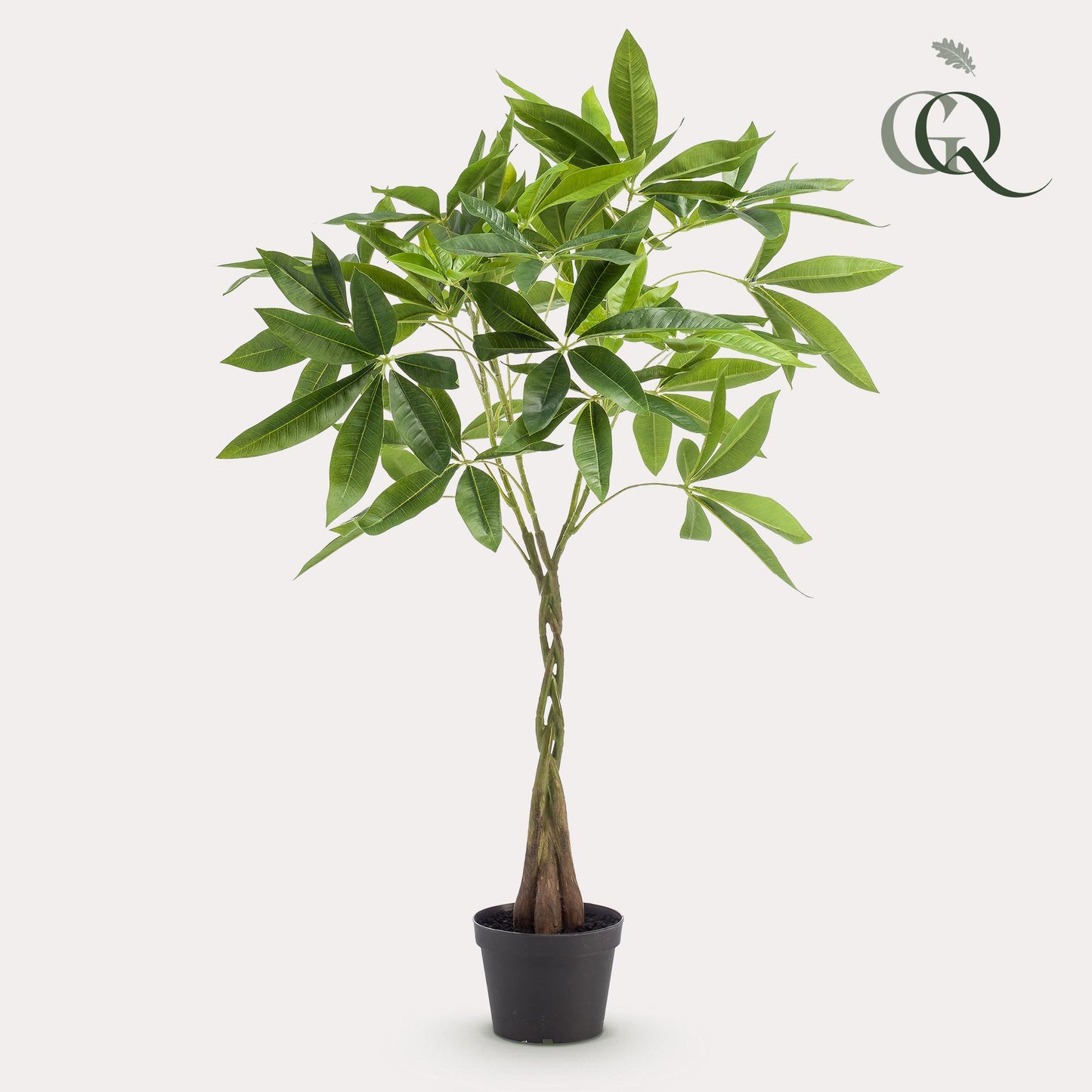 Kunstplant - Pachira aquatica - Geldboom - 90 cm - Forest Plants