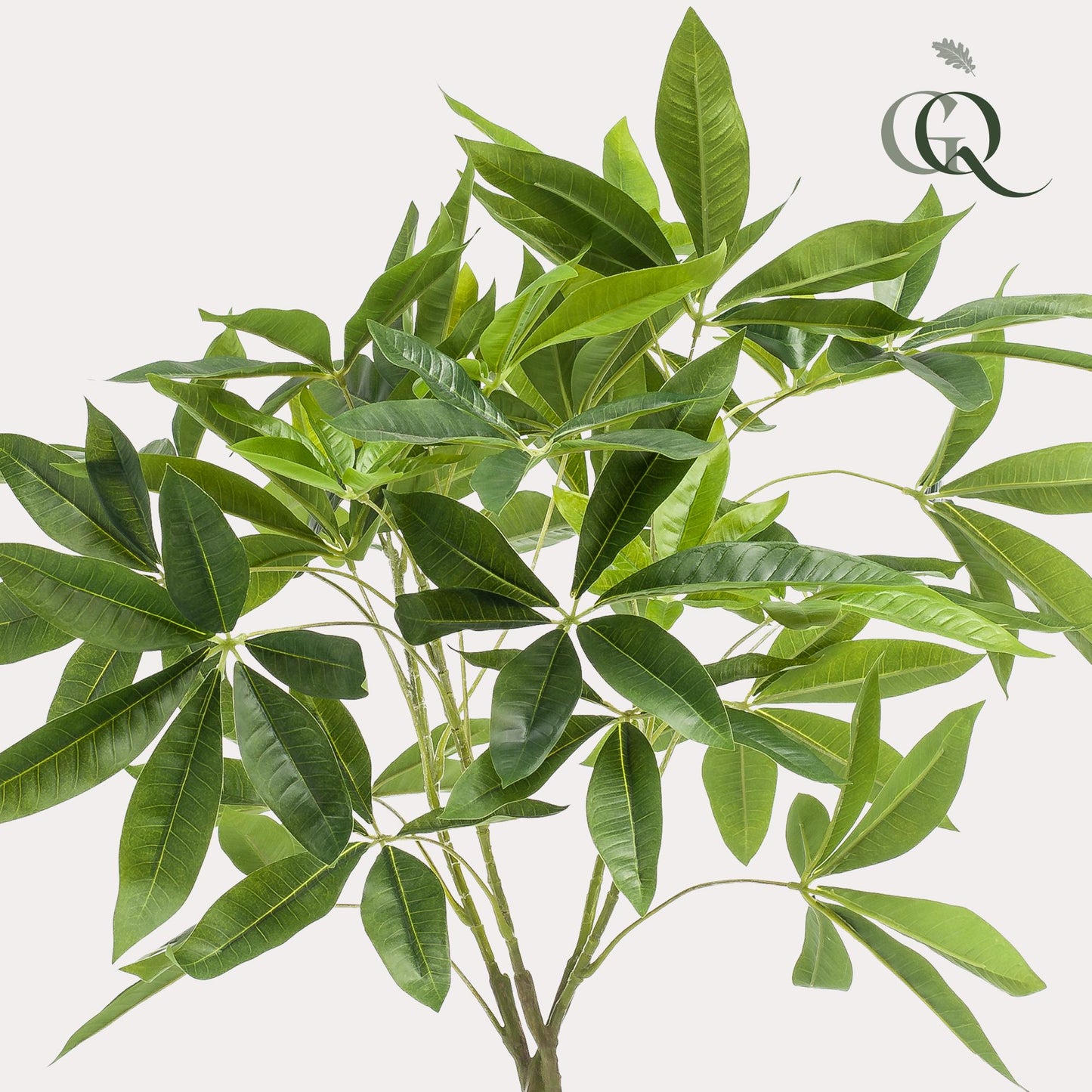 Kunstplant - Pachira aquatica - Geldboom - 90 cm - Forest Plants
