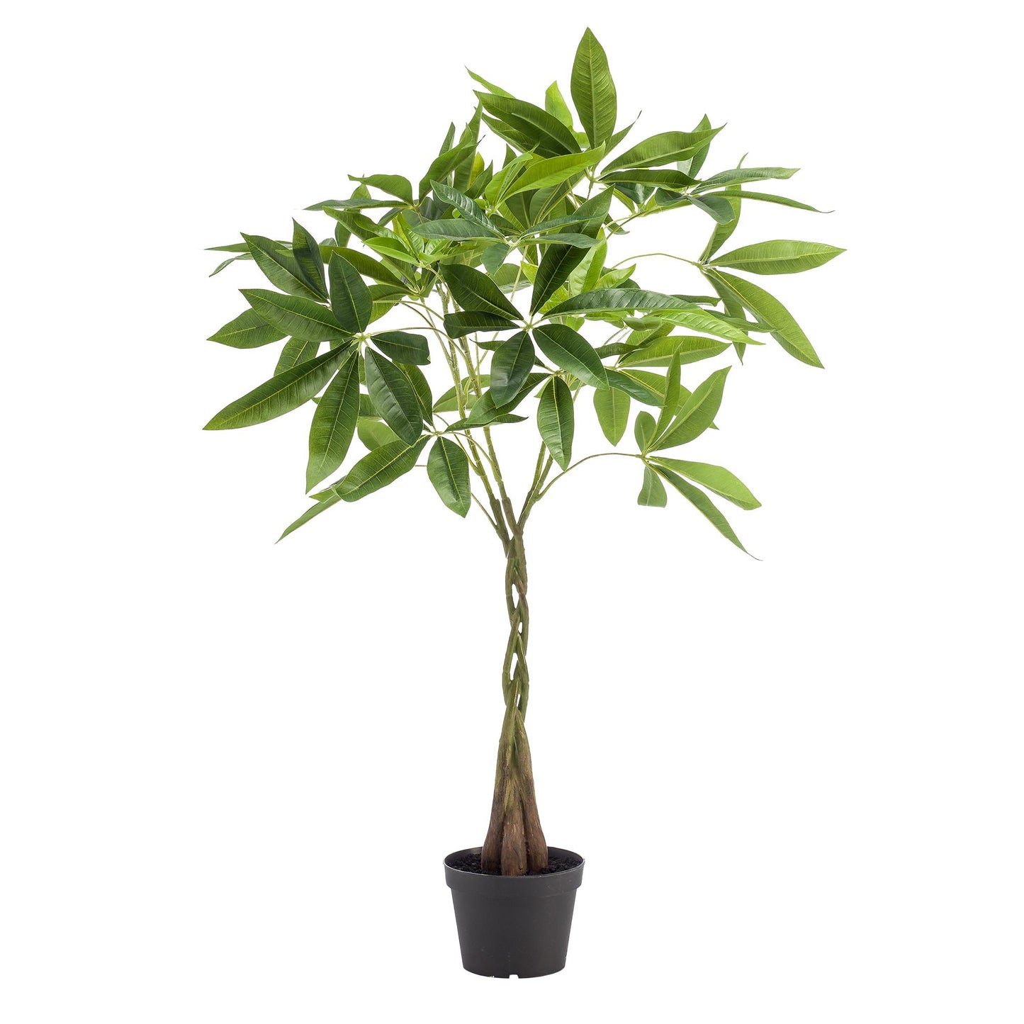 Kunstplant - Pachira aquatica - Geldboom - 90 cm - Forest Plants