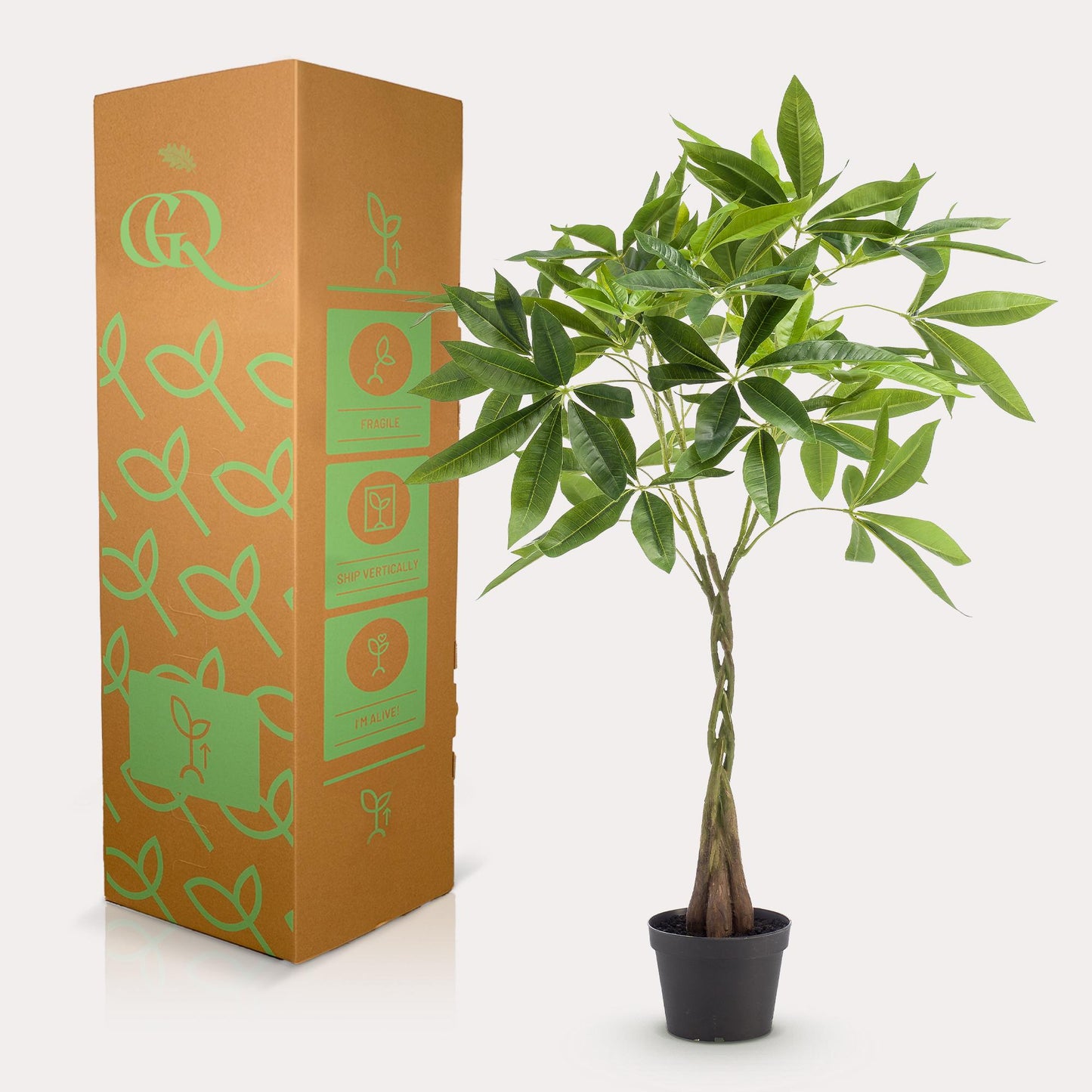 Kunstplant - Pachira aquatica - Geldboom - 90 cm - Forest Plants