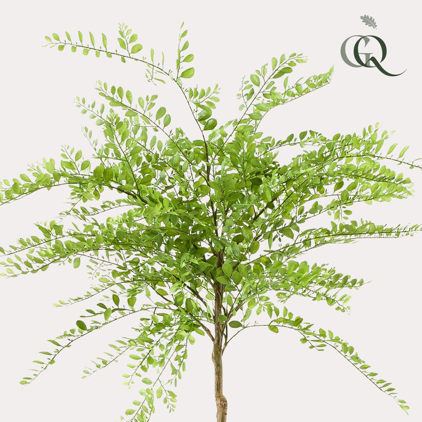 Kunstplant - Sophora tree - Honingboom - 190 cm - Forest Plants