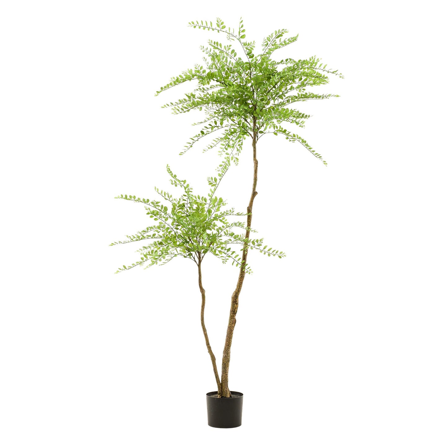 Kunstplant - Sophora tree - Honingboom - 190 cm - Forest Plants