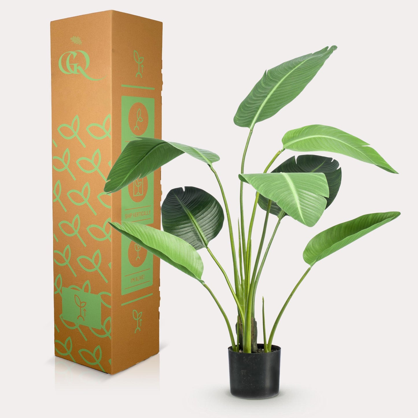 Kunstplant - Strelitzia Nicolai - Paradijsvogelbloem - 120 cm - Forest Plants