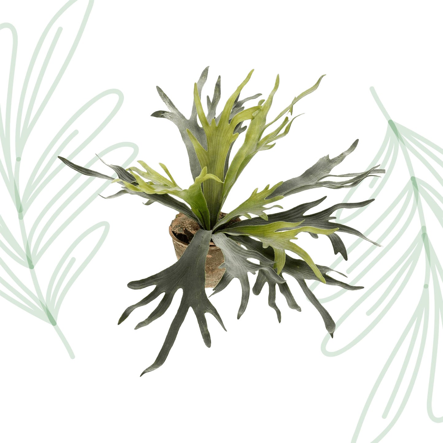 Kunstplant - Staghorn Fern - Hertshoorn - 50 cm - Forest Plants