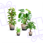 Easy care Plantenbox - medium - met Mand Lissabon zwart
