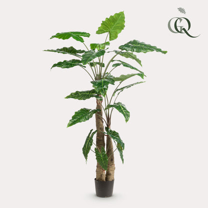 Kunstplant - Alocasia - Olifantsoor - 180 cm - Forest Plants