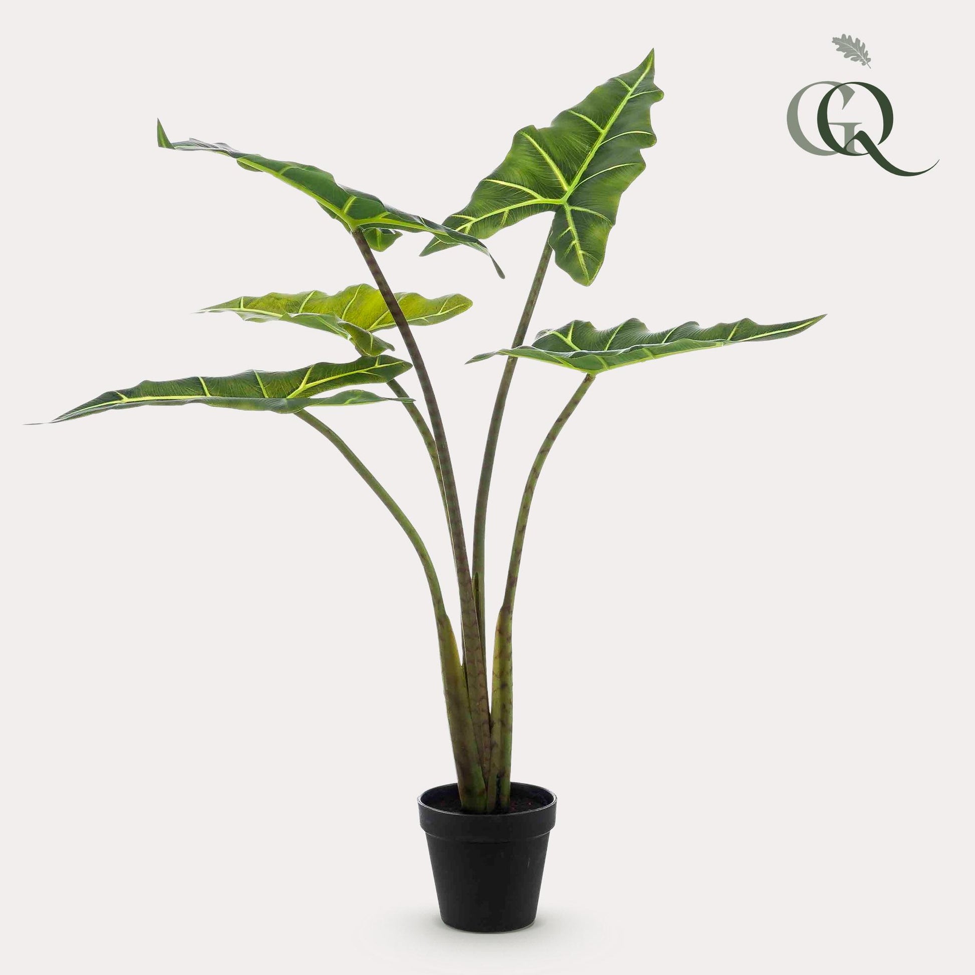 Kunstplant - Alocasia Frydek - Olifantsoor - 80 cm - Forest Plants