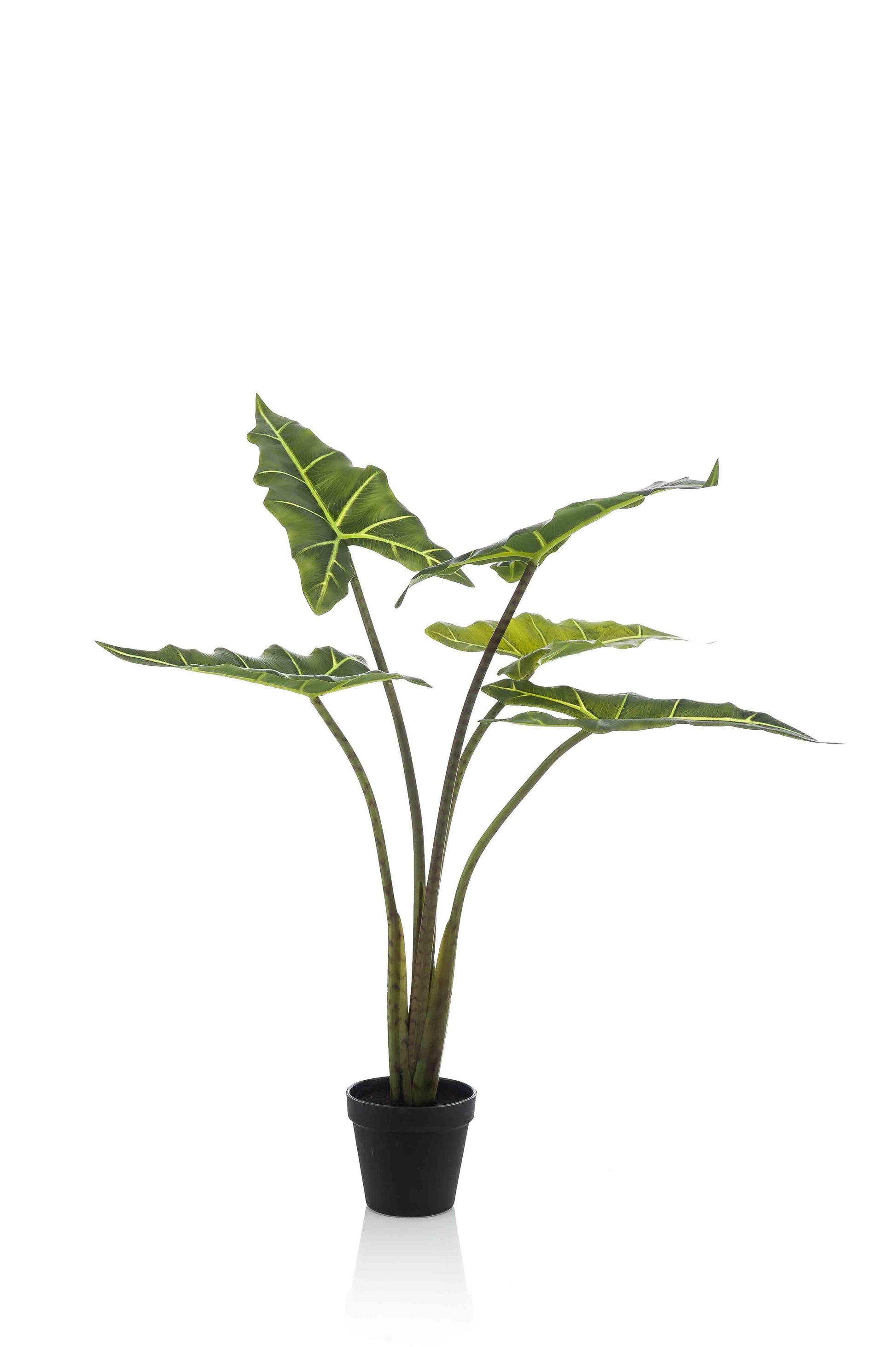 Kunstplant - Alocasia Frydek - Olifantsoor - 80 cm - Forest Plants