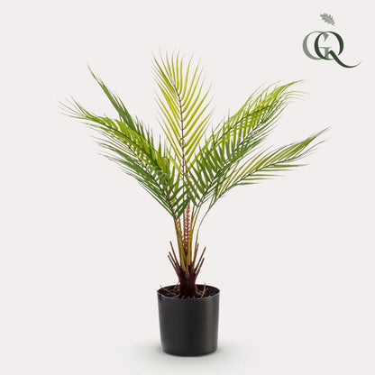 Kunstplant - Chamaedorea - Bergpalm - 50 cm - Forest Plants