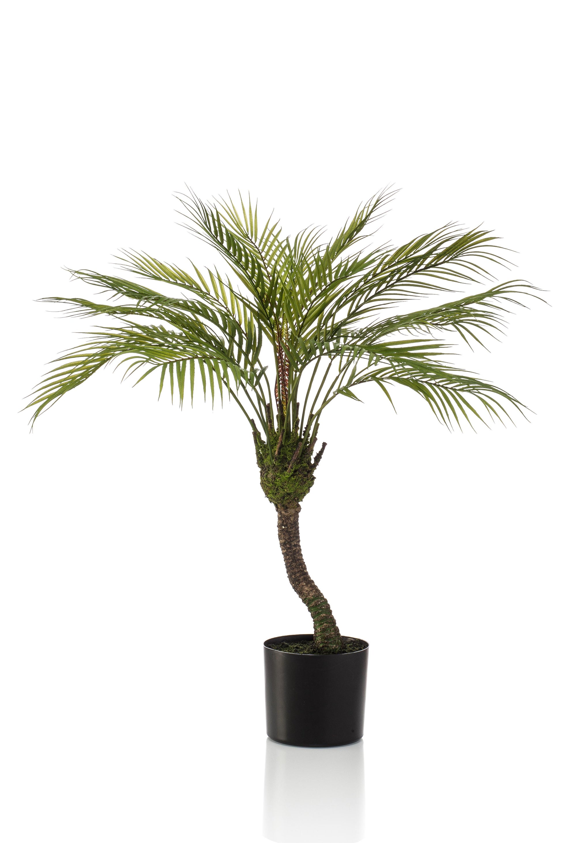 Kunstplant - Chamaedorea - Bergpalm - 85 cm - Forest Plants