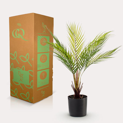 Kunstplant - Chamaedorea - Bergpalm - 50 cm - Forest Plants
