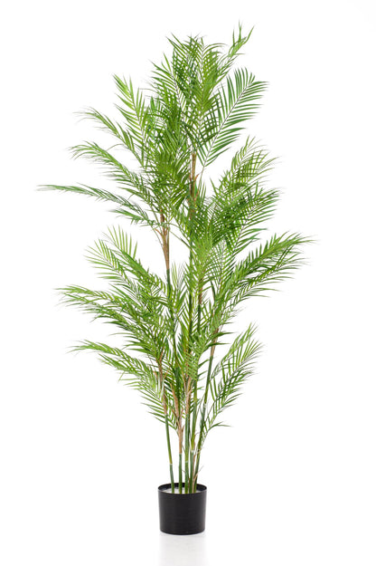 Kunstplant - Chamaedorea Elegans - Bergpalm - 180 cm - Forest Plants