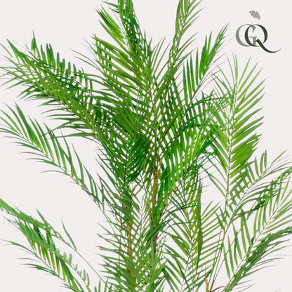 Kunstplant - Chamaedorea Elegans - Bergpalm - 120 cm - Forest Plants