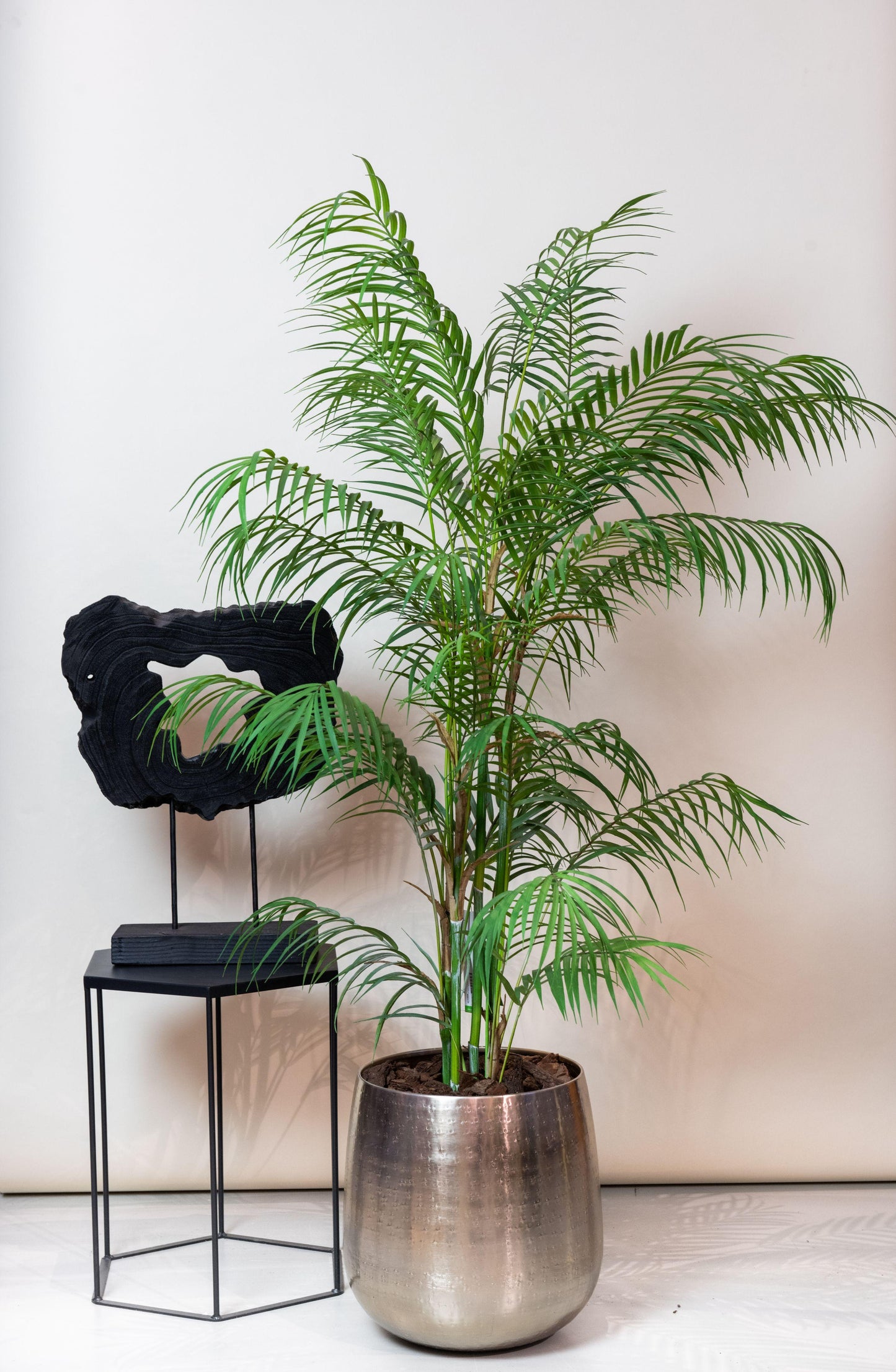Kunstplant - Chamaedorea Elegans - Bergpalm - 120 cm - Forest Plants