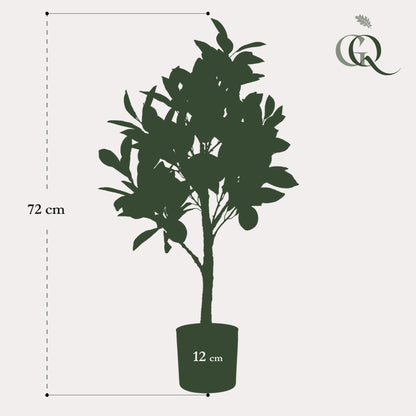 Kunstplant - Citrus Limonia - Citroenboom - 75 cm - Forest Plants