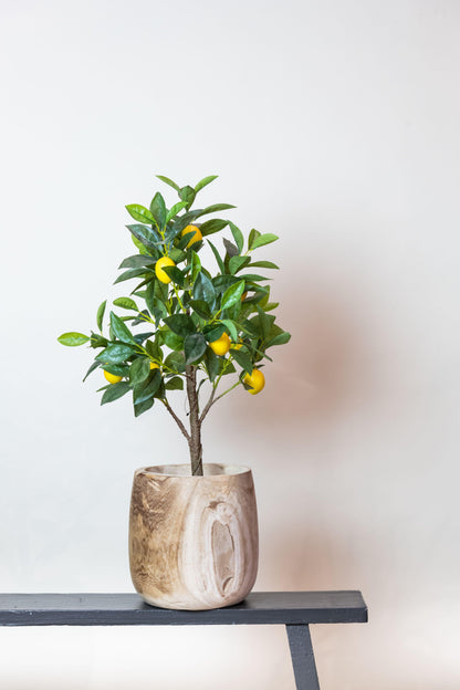Kunstplant - Citrus Limonia - Citroenboom - 75 cm - Forest Plants