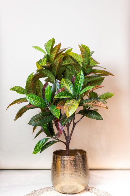 Kunstplant - Croton Codiaeum - Wonderstruik - 120 cm - Forest Plants