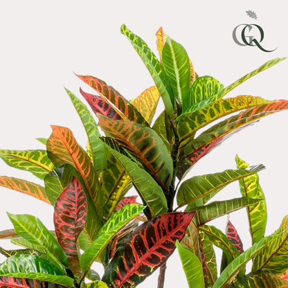 Kunstplant - Croton Codiaeum - Wonderstruik - 95 cm - Forest Plants