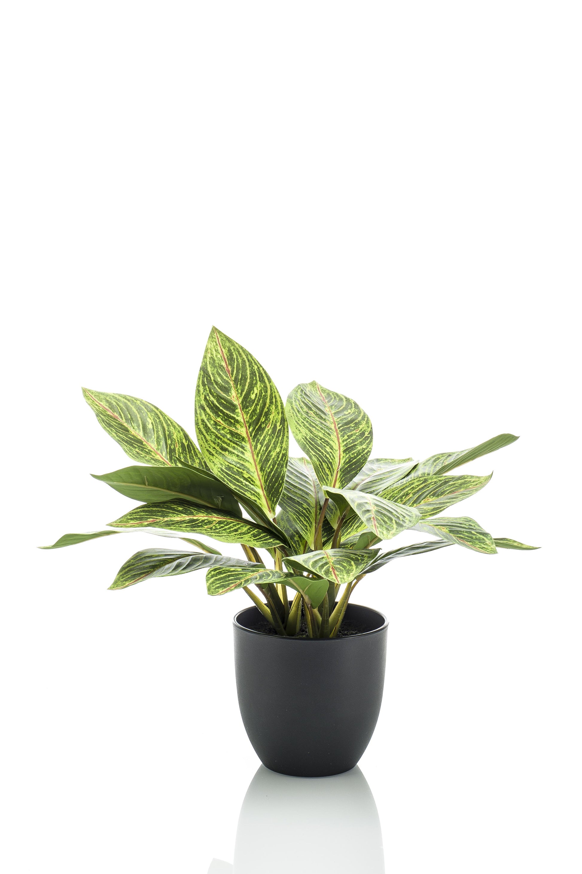 Kunstplant - Croton Codiaeum - Wonderstruik - 38 cm - Forest Plants